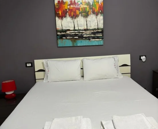 Tirane, jepet me qera apartament 1+1 Kati 3, 85 m² 600 € (Rruga Selite e Vjeter)