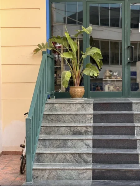 Vlore, jepet me qera ambjent biznesi Kati 0, 250 m² 1.100 € (Mbas Poliklinikes)