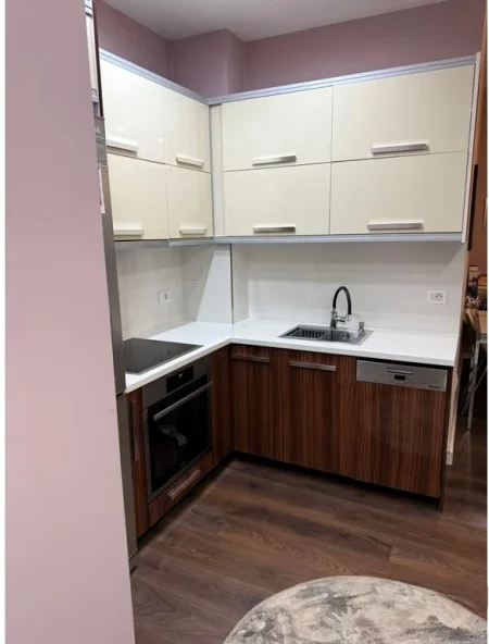 Tirane, jepet me qera apartament 1+1 Kati 1, 79 m² 600 € (liqeni i thate)