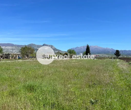 Shkoder, shitet toke , 1.000 m² (HOT I RI)