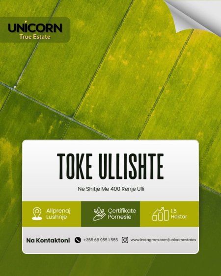 Toka Ullishte Shabani.jpg