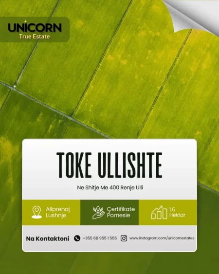 Lushnje, shes toke bujqesore , 14.500 m² 145.000 € (ULLISHTE NË ALLPRENAJ, LUSHNJE)
