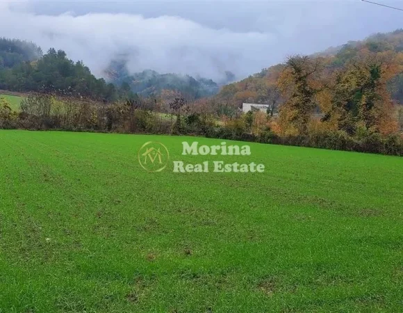 Tirane, shitet truall , 3.500 m² 315.000 € (Petrele)