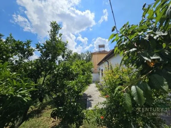 Tirane, shes shtepi 2+1 Kati 1, 684 m² 320.000 € (Casa Italia)