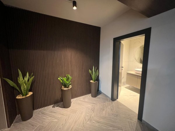 Tirane, shes ambjent biznesi , 238 m² 450.000 € (RRUGA MARGARITA TUTULANI)