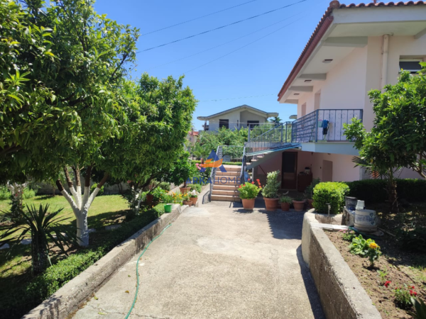 Fier, shitet Vile 2 Katshe Kati 2, 190 m² 230.000 € (LAGJJA NE 1 FIER)