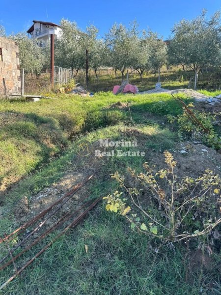 Tirane, shitet toke , 203 m² 45.000 € (Sanatoriumi)