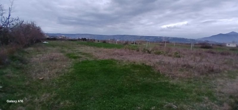 Shitet toke Ishull Shëngjin, Lezhë