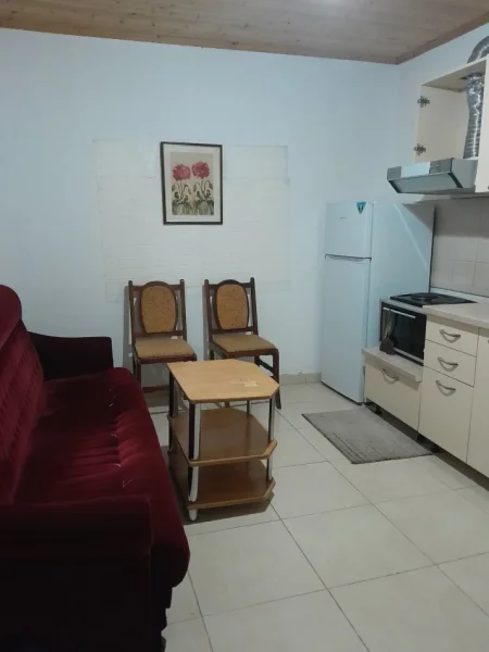 Tirane, jap me qera shtepi 1+1 Kati 1, 250 €