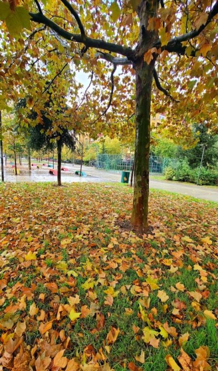 Tirane, shitet apartament 2+1+Ballkon Kati 7, 100 m² 220.000 € (Fusha e Aviacionit)