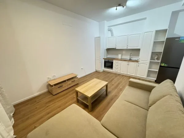 Tirane, jepet me qera apartament 1+1 Kati 1, 