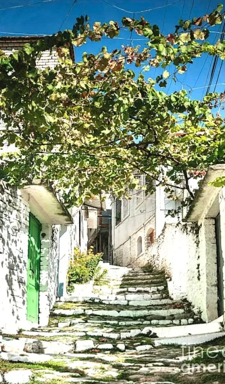 Berat, shitet nga Pronari, pa-komision Vile 2 Katshe ,