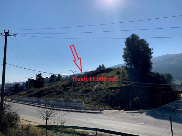 Gjirokaster, Shitet Truall 11.000 m², Cmimi Fillestar 26.971.560 Leke