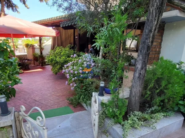 Tirane, shitet lokal Kati 0, 300 m²