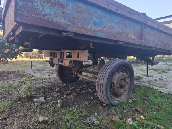 Divjake, shes rimorkio zetori gjermane