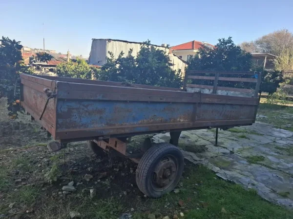 Divjake, shes rimorkio zetori gjermane