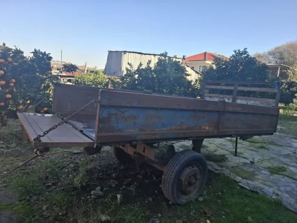 Divjake, shes rimorkio zetori gjermane