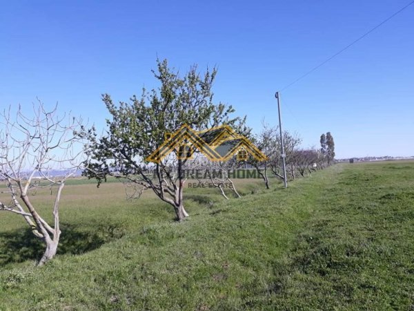 Durres, shitet toke , 12.903 m² 645.150 € (BISHT KAMEZ)