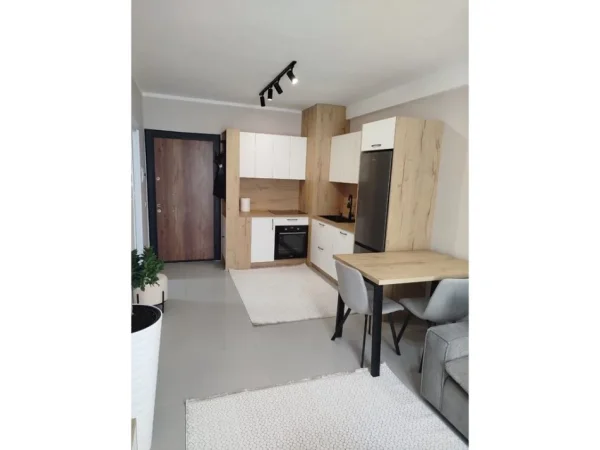 Tirane, jepet me qera apartament 1+1 Kati 7, 55 m² 500 € 