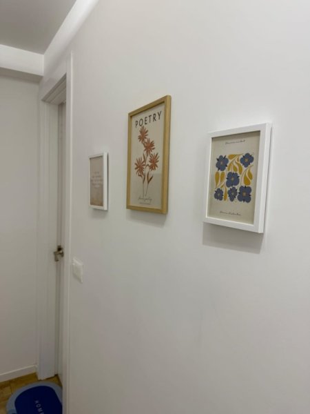 Tirane, jepet me qera apartament 1+1+Ballkon Kati 1, 55 m² 550 € (21 Dhjetori)