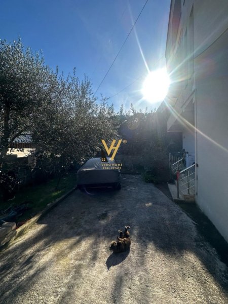 Tirane, jepet me qera ambjent biznesi Kati 0, 743 m² 5.000 € (RRUGA E ELBASANIT)