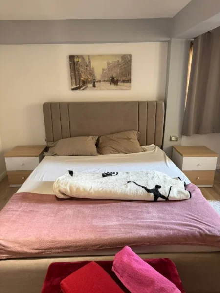Tirane, jepet me qera apartament 1+1 Kati 2, 55 m² 600 € (komuna parisit)