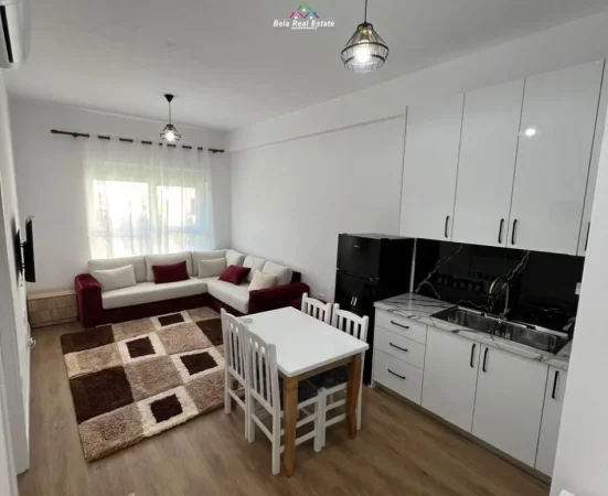 Tirane, jepet me qera apartament 1+1 Kati 1, 50 m² 500 € (Rruga Pasho Hysa)