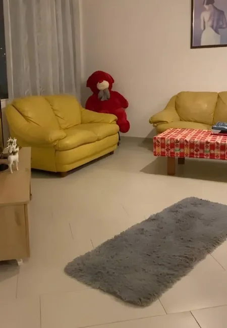 Tirane, jepet me qera apartament 1+1+Ballkon Kati 3, 77 m² 400 € (Astir (afer rrethit))