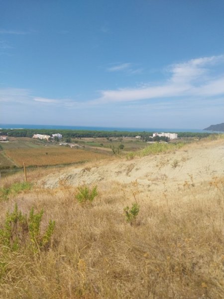 Tirane, shitet toke , 3.000 m² 180.000 € (San pietro gjiri lalzit)