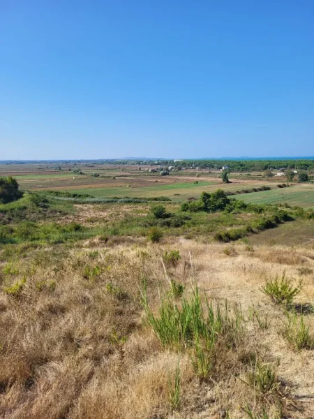 Tirane, shitet toke , 3.000 m² 180.000 € (San pietro gjiri lalzit)