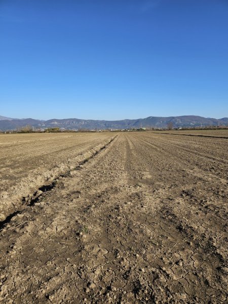 Tirane, shitet toke , 3.750 m² 45.000 € (Rr Rrile Hodrovor Tale Lezhe)