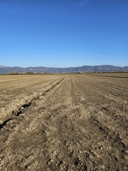 Tirane, shitet toke , 3.750 m² 45.000 € (Rr Rrile Hodrovor Tale Lezhe)