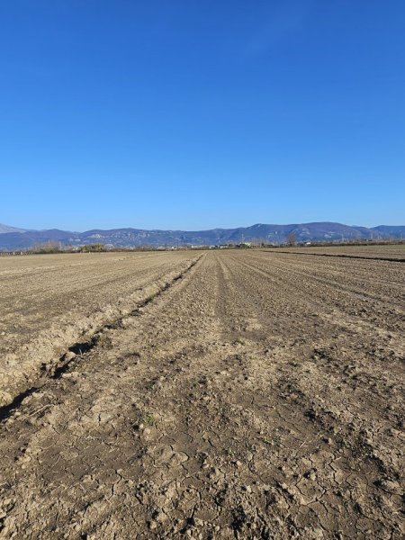 Tirane, shitet toke , 3.750 m² 45.000 € (Rr Rrile Hodrovor Tale Lezhe)