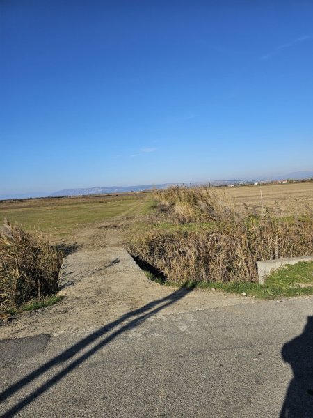 Tirane, shitet toke , 3.750 m² 45.000 € (Rr Rrile Hodrovor Tale Lezhe)