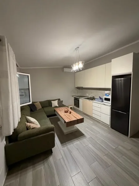 Tirane, jepet me qera Vile 3+1 , 1.500 €