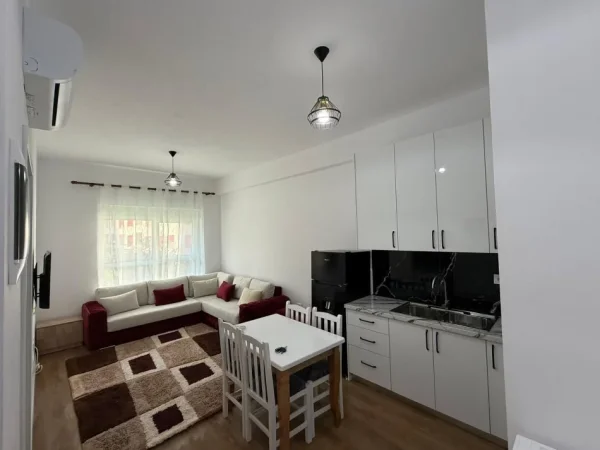 Tirane, jepet me qera apartament 1+1 Kati 1, 500 € (ali demi)