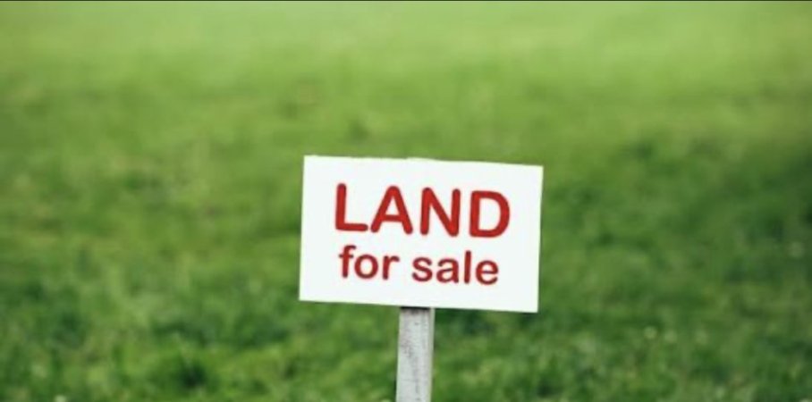 Tirane, shitet truall , 375 m² (Rruga Selaudin Zorba)