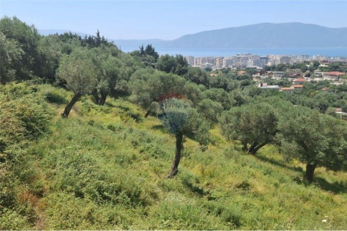 Vlore, shitet toke bujqesore , 1.000 m² 109.000 € (Kuzum Baba, Vlore)