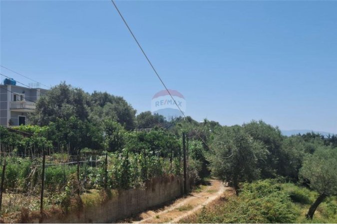 Vlore, shitet toke bujqesore , 1.000 m² 109.000 € (Kuzum Baba, Vlore)