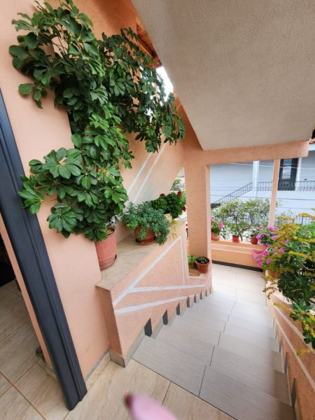 Shqiperi, shitet Vile 3 Katshe , 251 m² 350.000 € (Rruga Jordan Misja)