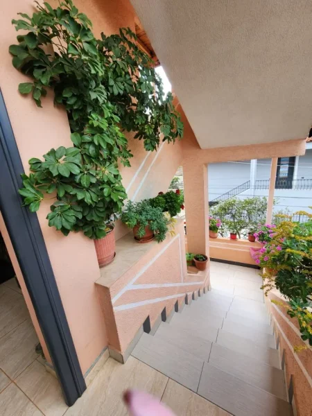 Shqiperi, shitet Vile 3 Katshe , 251 m² 350.000 € (Rruga Jordan Misja)