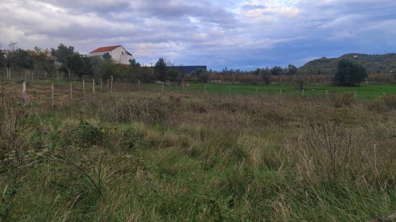 Tirane, shitet toke , 800 m² 