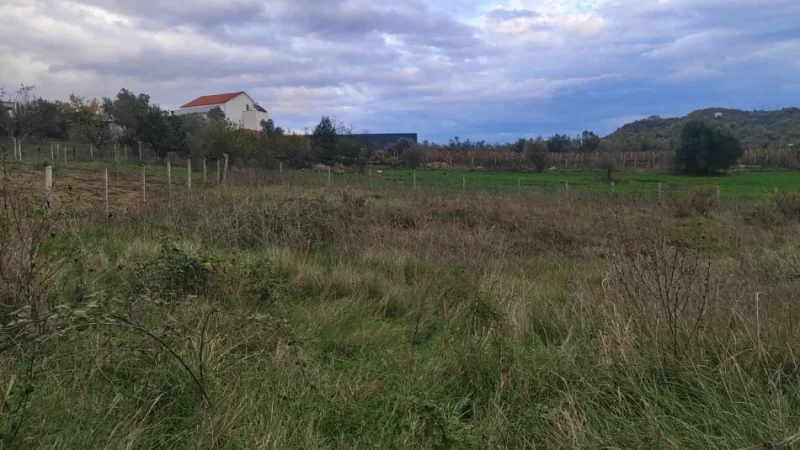 Tirane, shitet toke , 800 m²