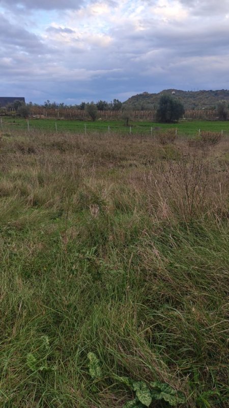 Tirane, shitet toke , 800 m² 