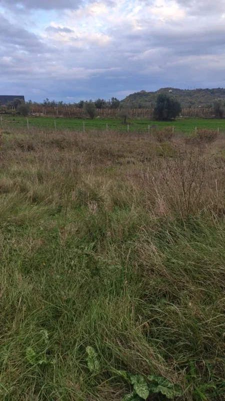 Tirane, shitet toke , 800 m²