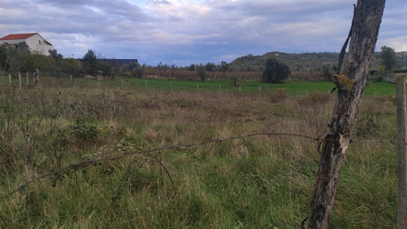 Tirane, shitet toke , 800 m² 