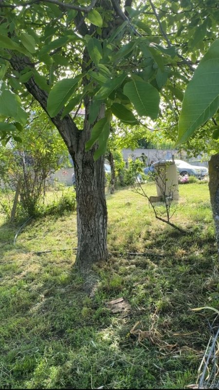 Tirane, shes truall , 300 m² 70.000 € (Azem Galica Kashar)