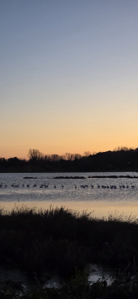 Excursions en groupe ou en famille depuis Golem, Tirana, Berat, Shkodër.