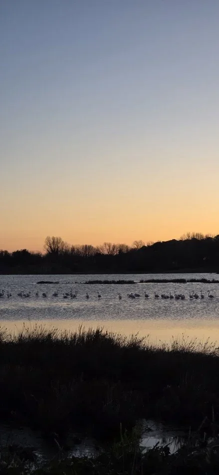 Excursions en groupe ou en famille depuis Golem, Tirana, Berat, Shkodër.