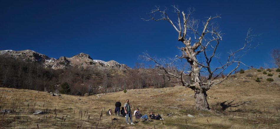 Excursions en groupe ou en famille depuis Golem, Tirana, Berat, Shkodër.